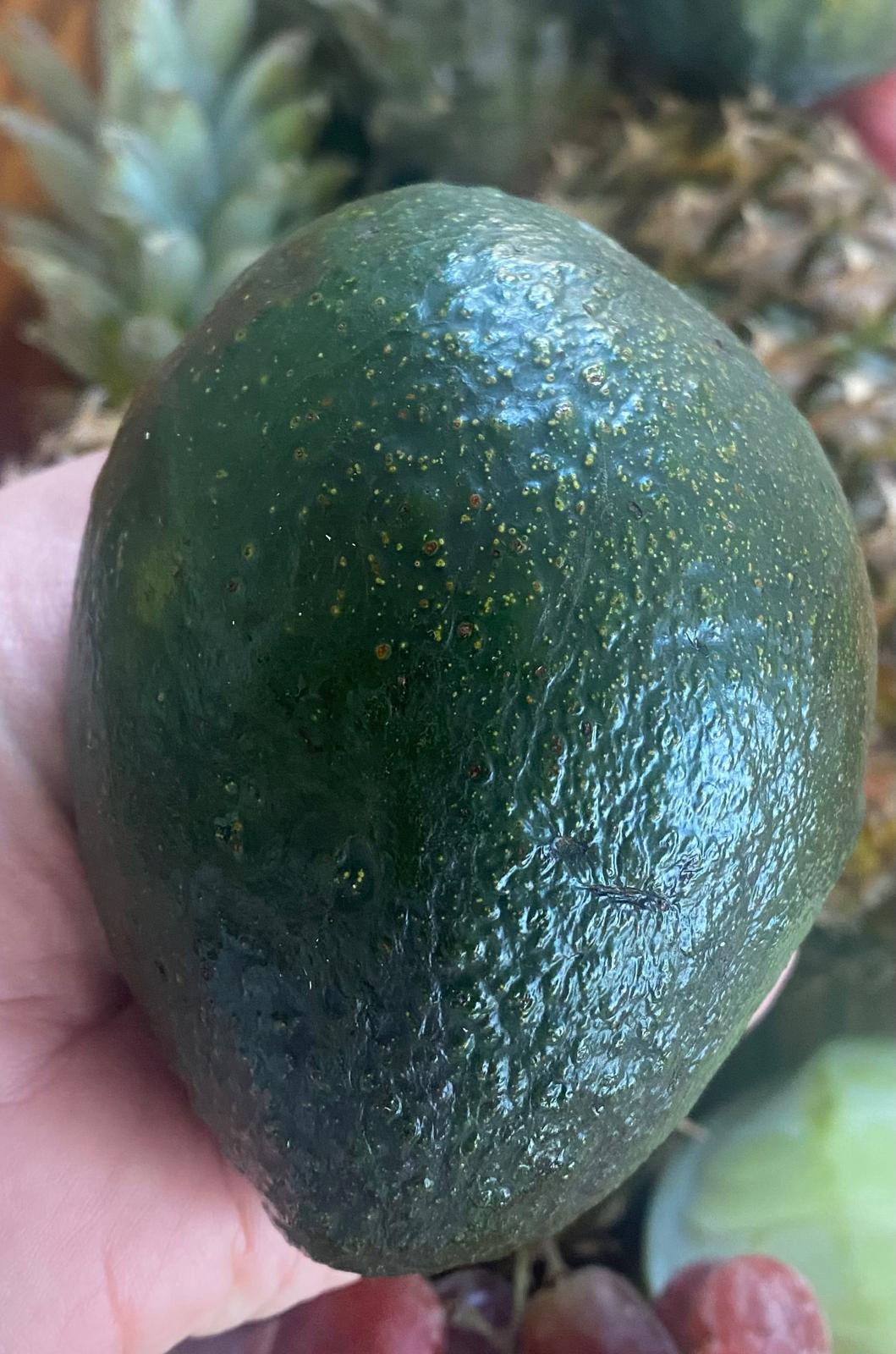 Avocado