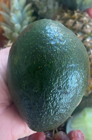 Avocado