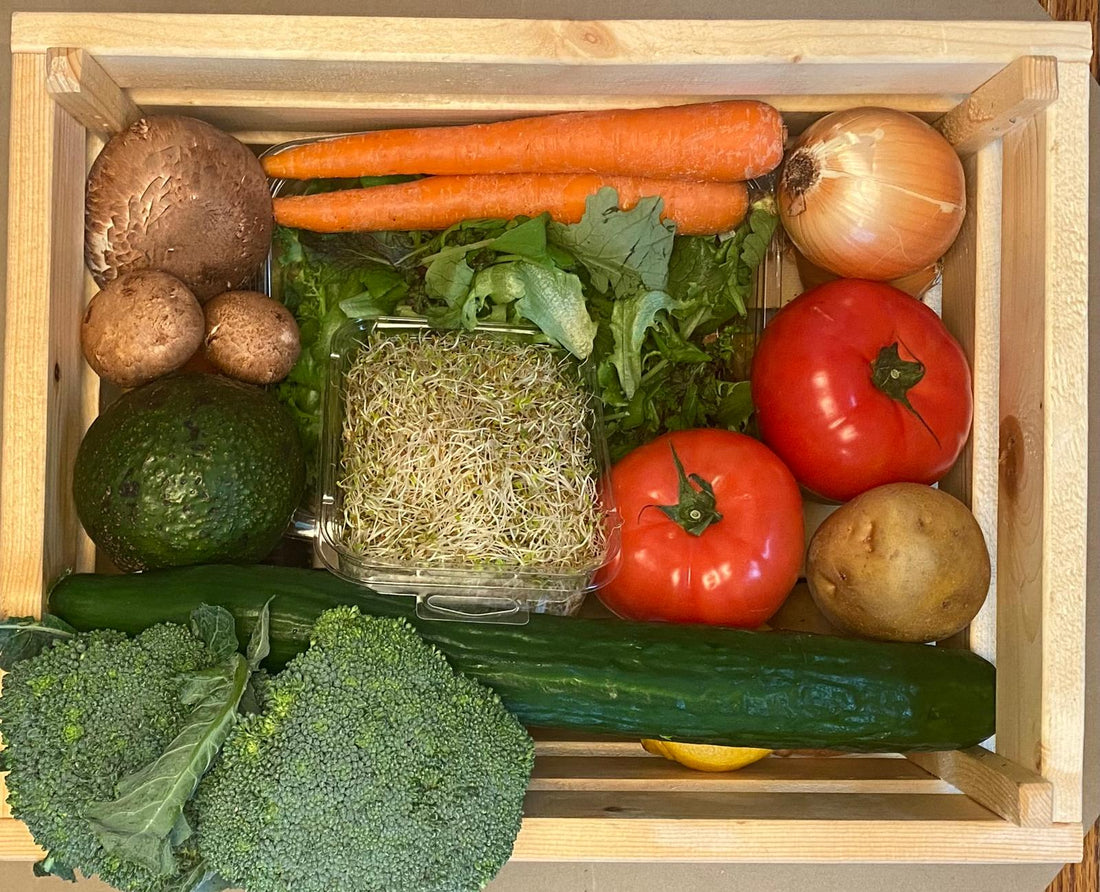 Vegetable ONLY - Large