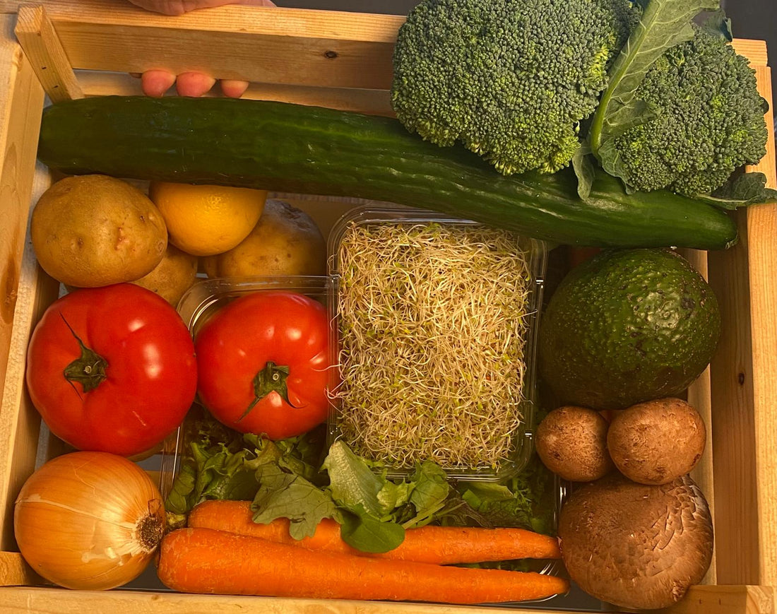 Vegetable ONLY - Medium